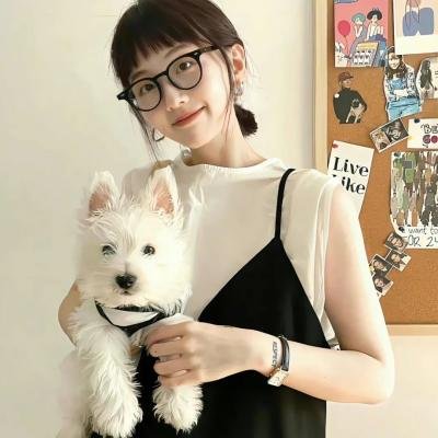查尔斯天鹅三世的心灵